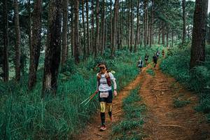 BIB: 
                            <button type="button" onclick="openModal(25668766)" class="btn btn-primary btn-sm float-right btn-popup" data-toggle="modal" data-target=".modal-high-quality">
                        <i class="fas fa-shopping-cart"></i> Add to Cart
                    </button>
                                            <button type="button" onclick="isThisMe(25668766, true)" class="btn btn-success btn-sm float-right btn-popup btn-isme hidden" data-toggle="tooltip" data-placement="bottom" title="นี่คือรูปของคุณใช่ไหม คลิกที่นี่เพื่อเอาเข้าอัลบั้ม">
                        <i class="fas fa-plus"></i> Add to album
                    </button>
                    <button type="button" onclick="isThisMe(25668766, false)" class="btn btn-warning btn-sm float-right btn-popup btn-isnotme hidden">
                        <i class="fas fa-ban"></i> Remove from album
                    </button>